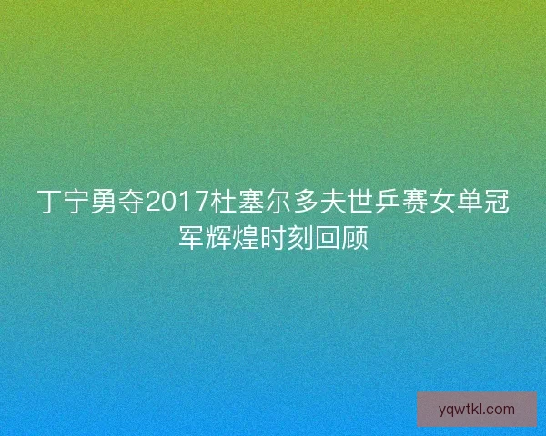 丁宁勇夺2017杜塞尔多夫世乒赛女单冠军辉煌时刻回顾